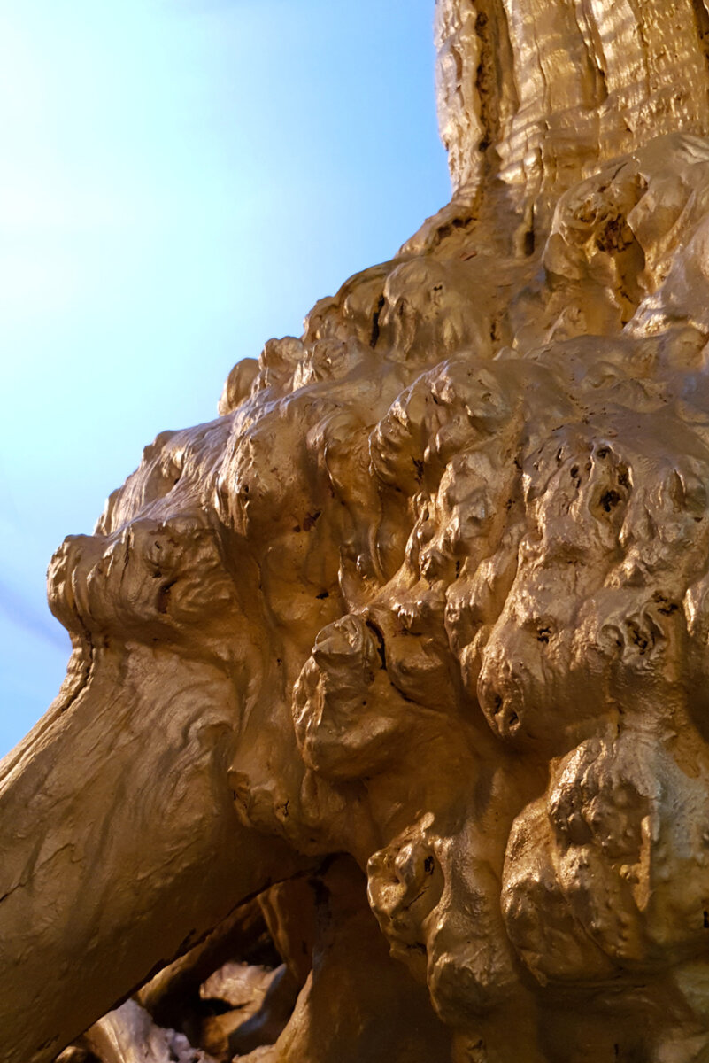 Tree of life &#8211; Sculpture &#8211; Chaumont sur Loire - Soline Portmann